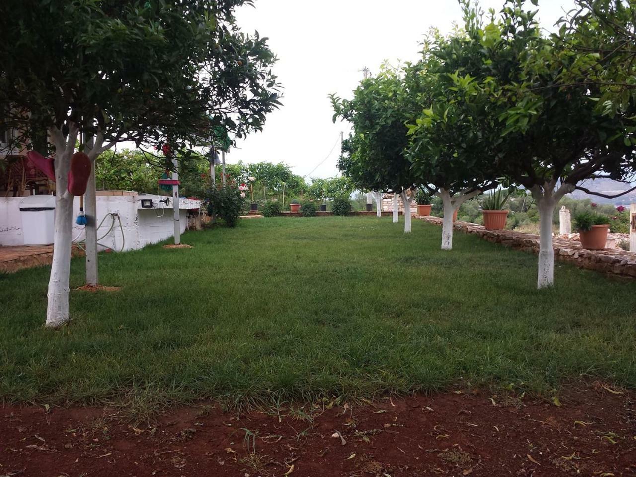 Vila Panorama คซามิล ภายนอก รูปภาพ